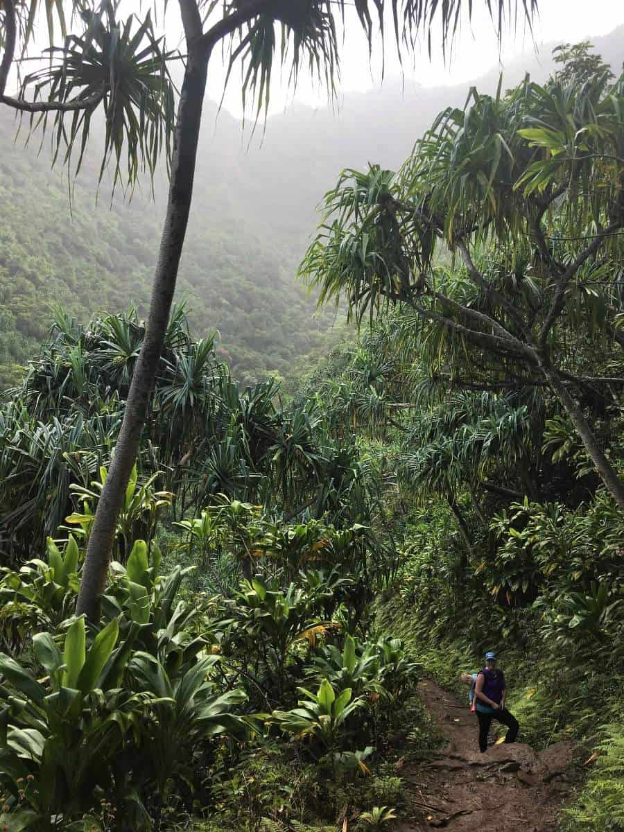 Epic Day Hike in Kauai