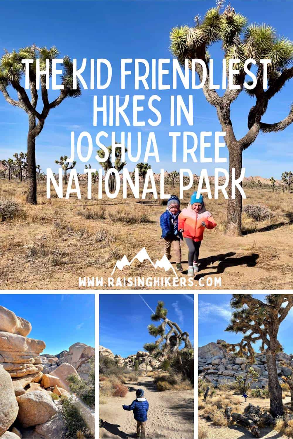 Joshua tree guided clearance hikes