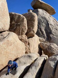 Cap Rock in Joshua Tree National Park
