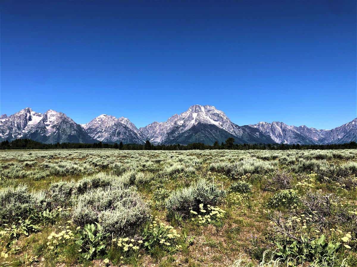 View of Tetons Camping in Grand Teton National Park