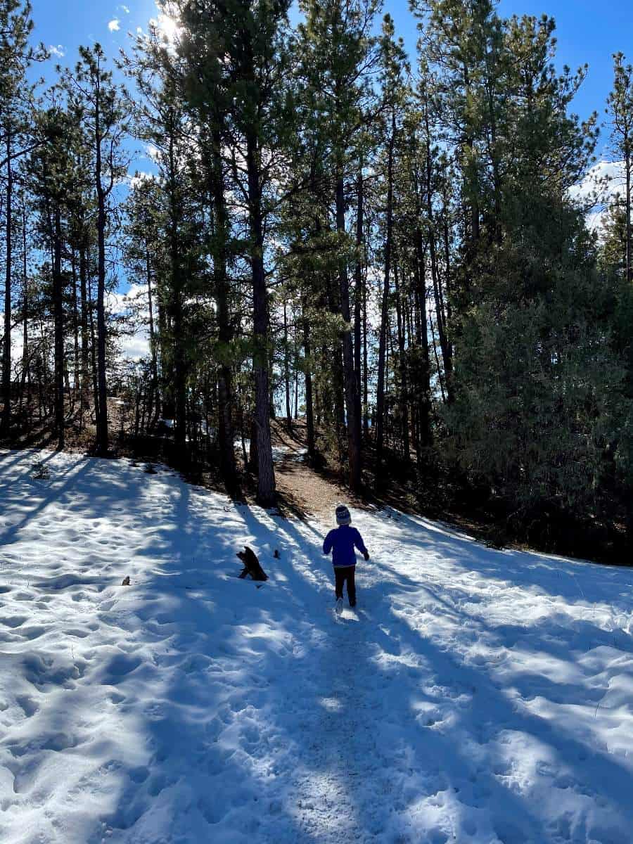 Boy walking into tree forest