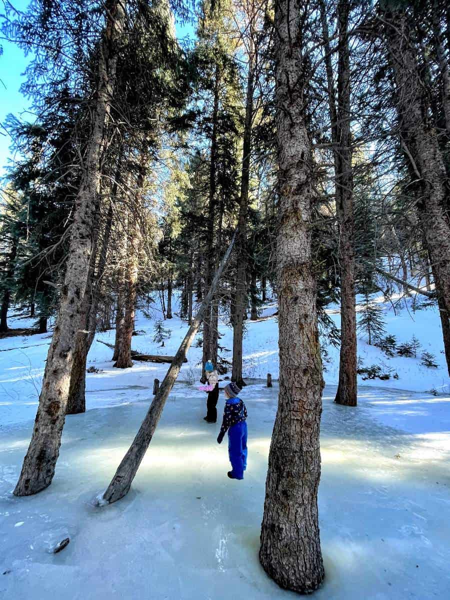 kids standing on frozen creek