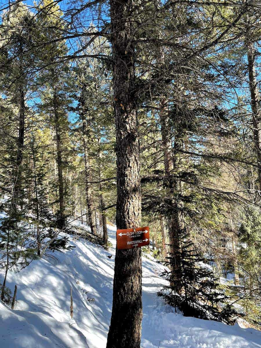 Maxwell Falls & Cliffs Loop - GO HIKE COLORADO