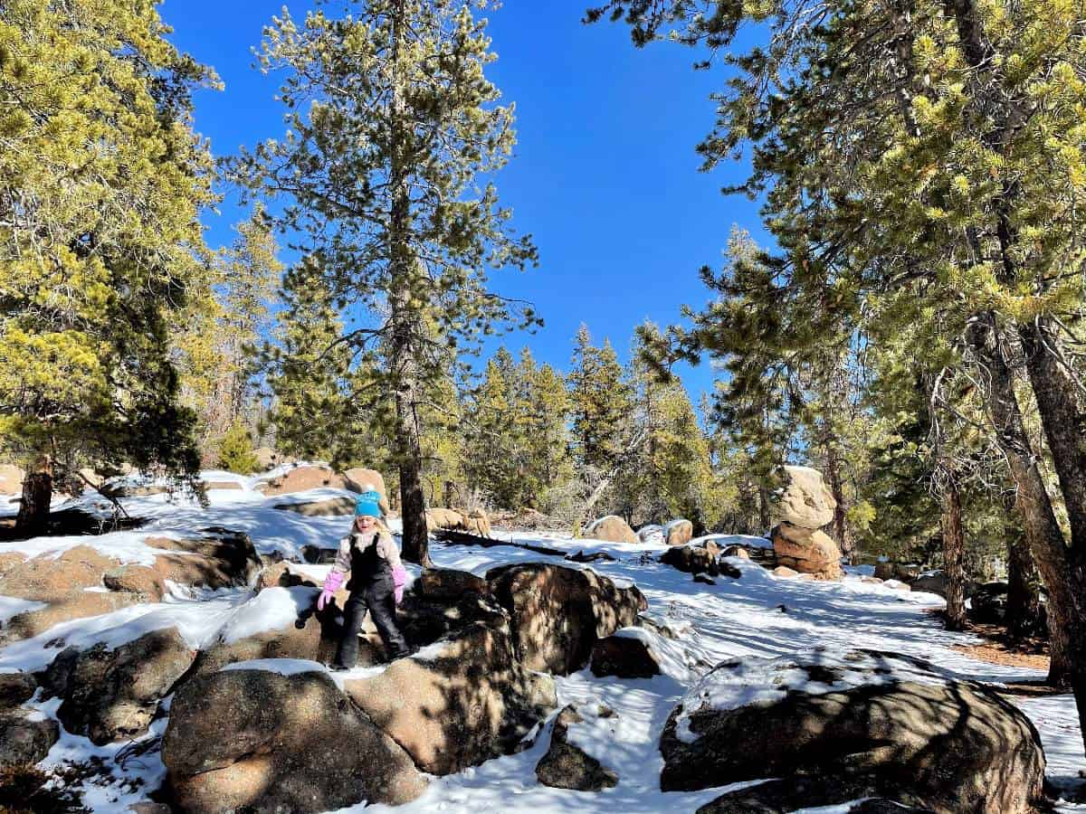 Kids climbing on rocks on a hike