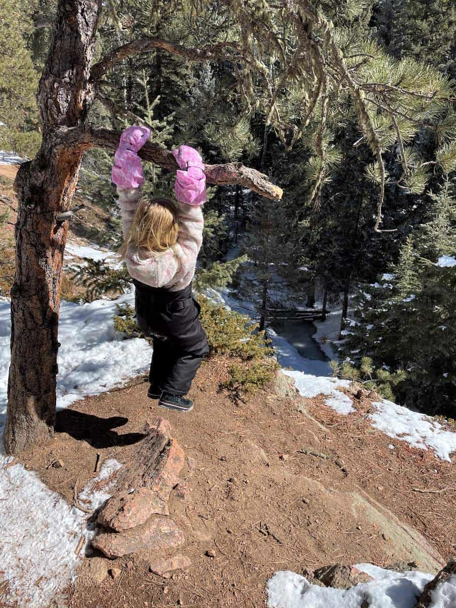 Girl swinging on tree