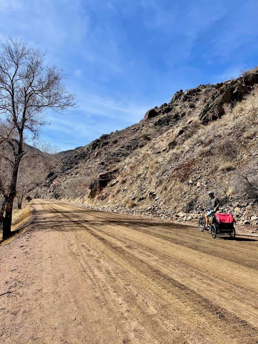 Dad pulling child in bike trailer