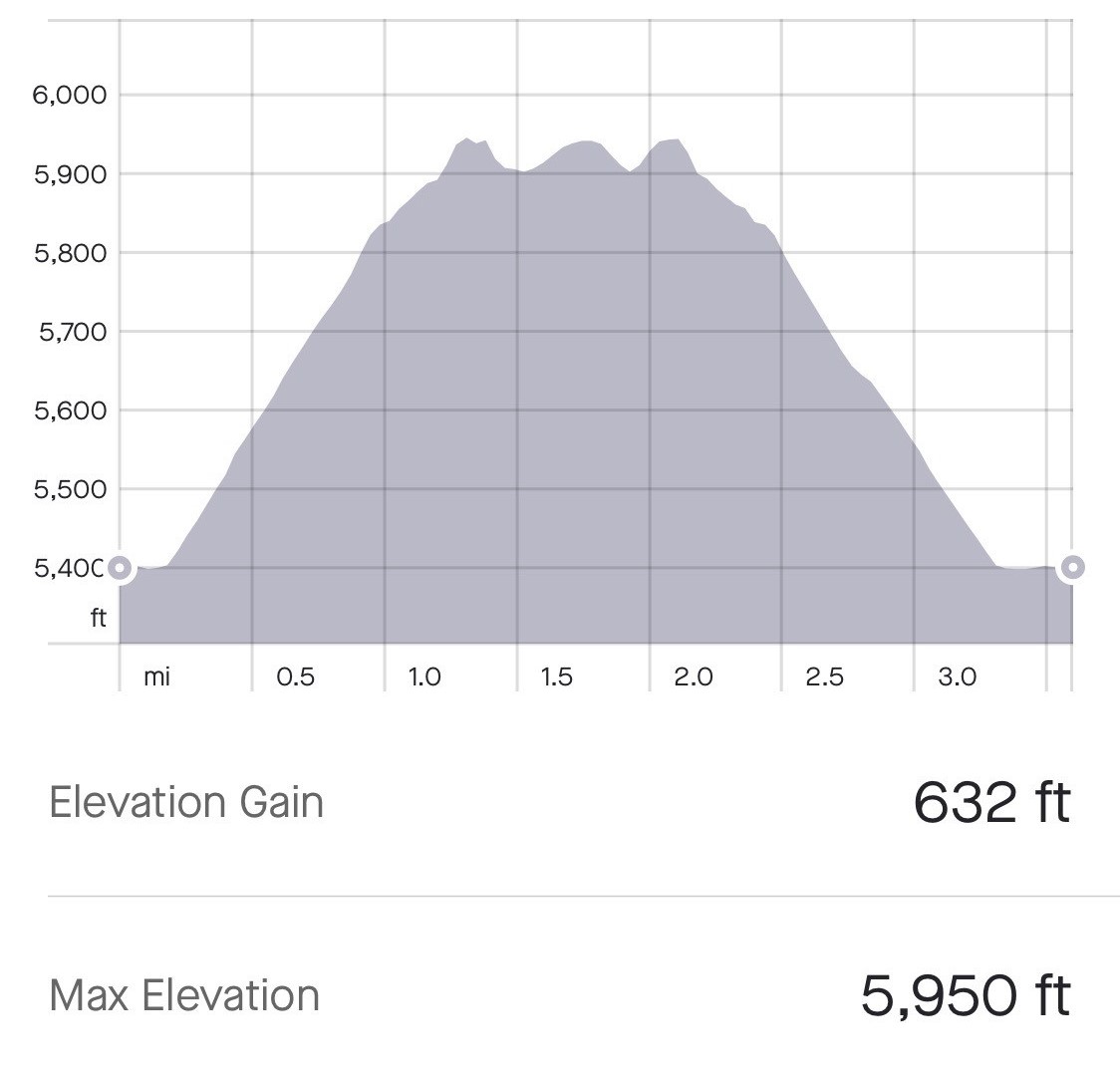 elevation gain