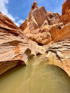 pools in Coyote Gulch