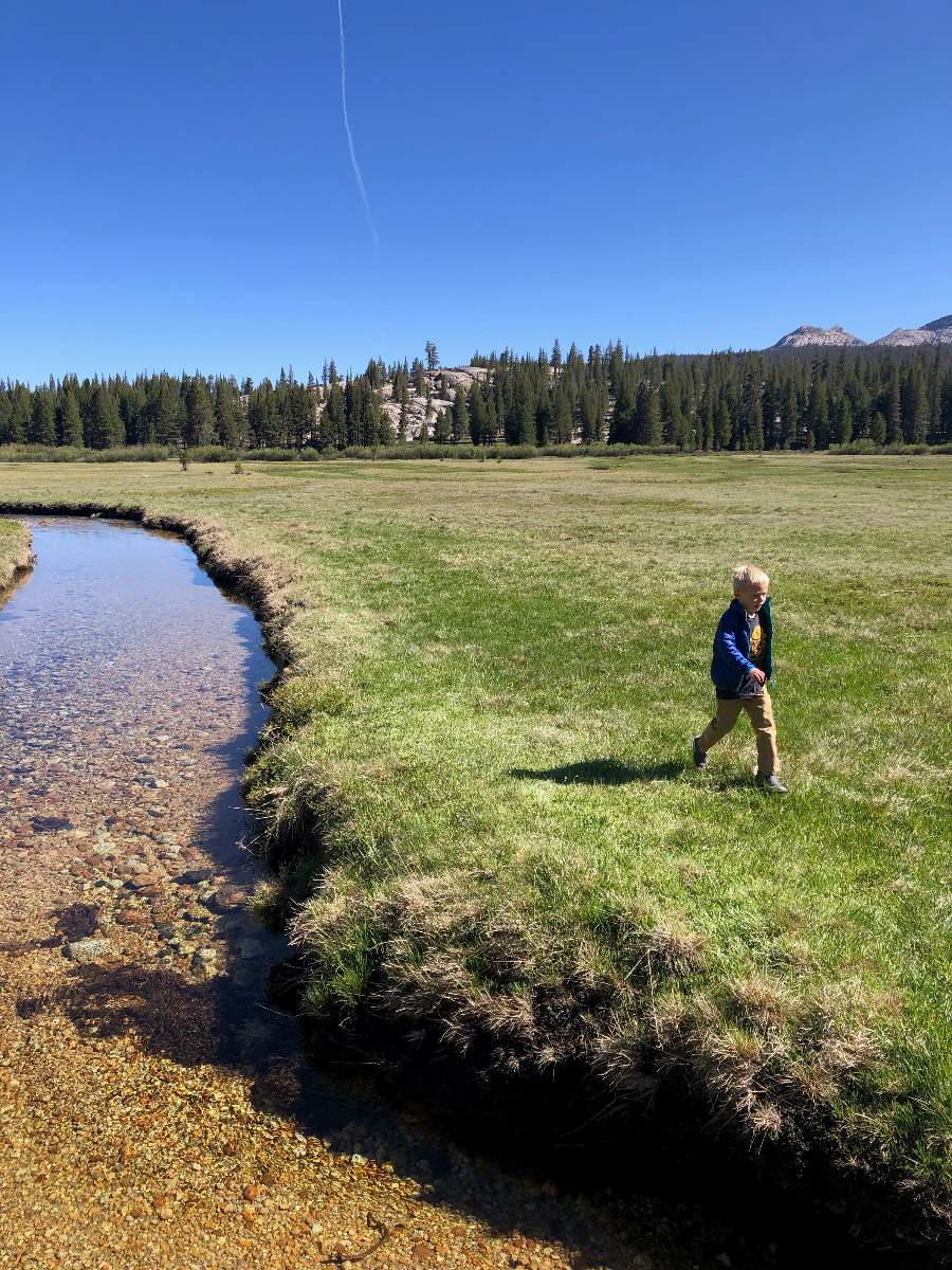 Boy running in meadow