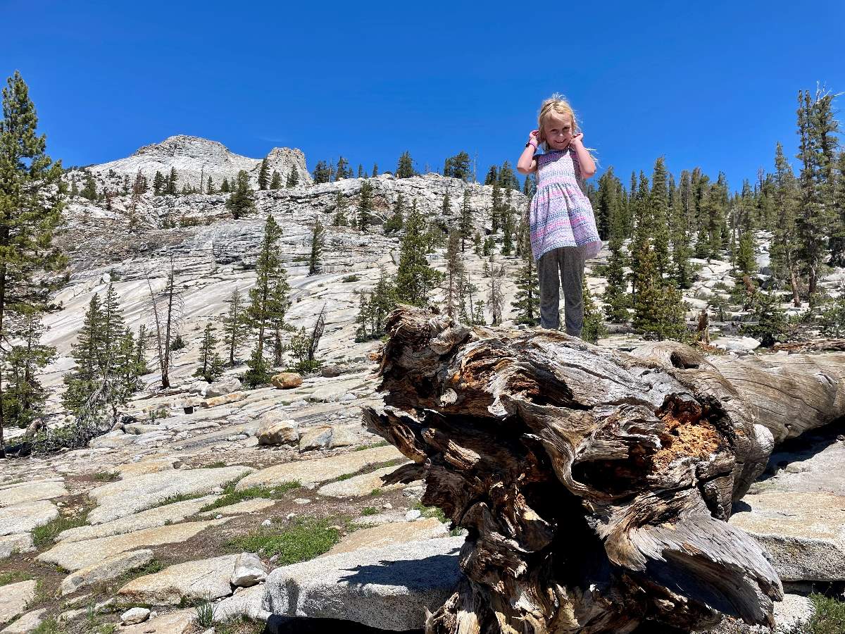 Girl on large log on hike