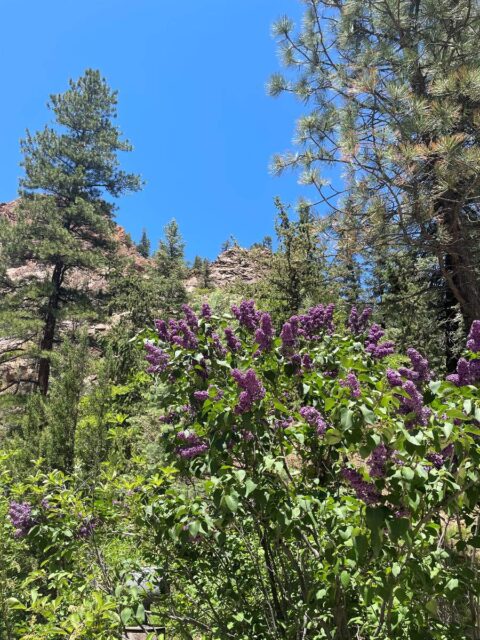 Hike Seven Falls with Kids in Colorado Springs | Raising Hikers