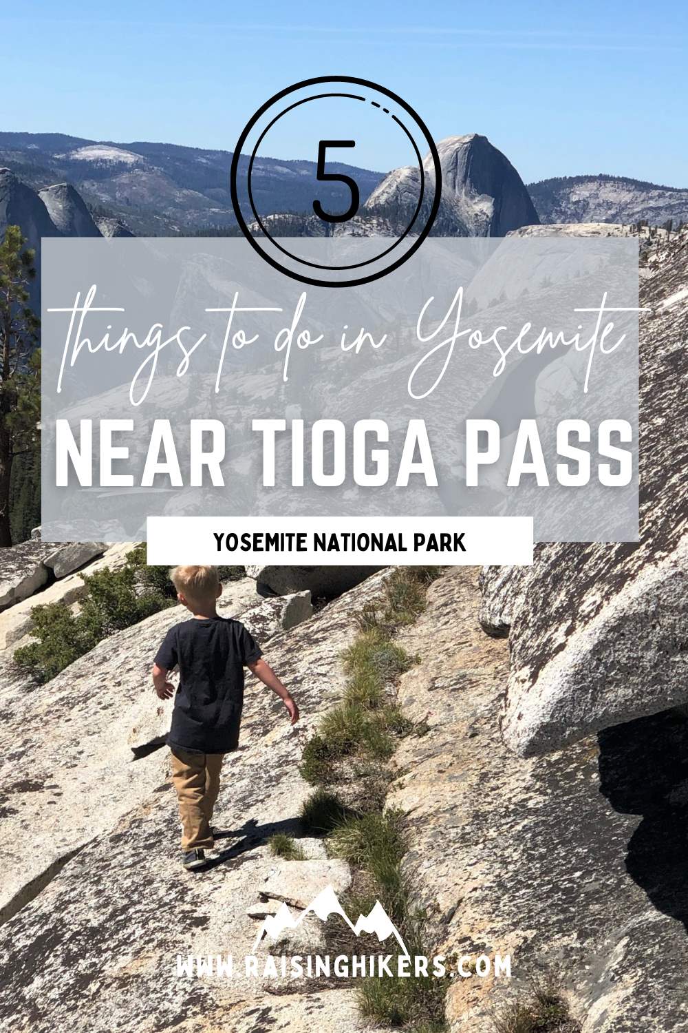 Tioga discount road hikes