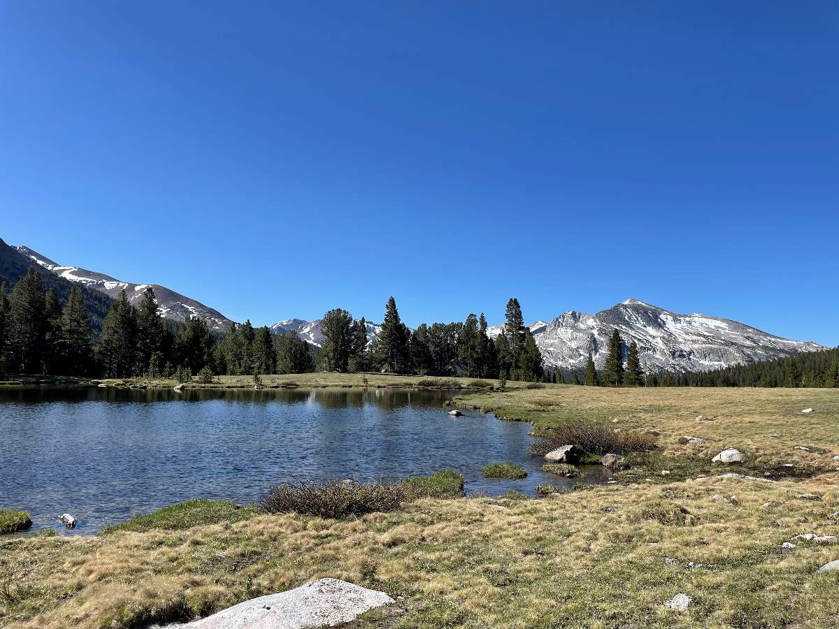 Picture near entrance of Tioga Pass