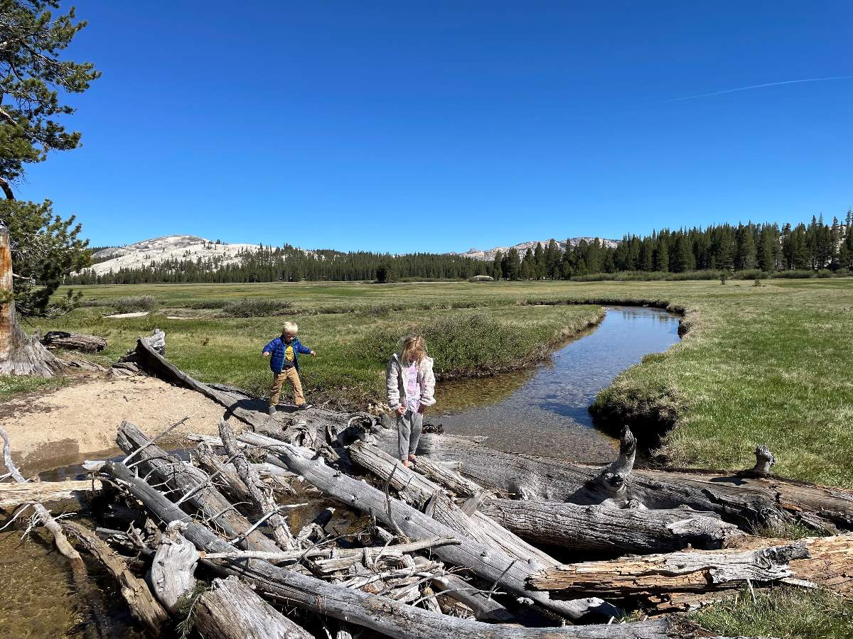 Kids walking over a dam at Tuolumne Meadows