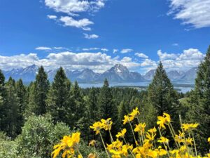 View from Signal Mountain in Grand Teton National Park