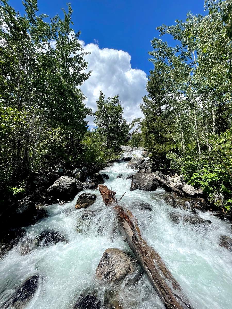 Taggart Creek flowing