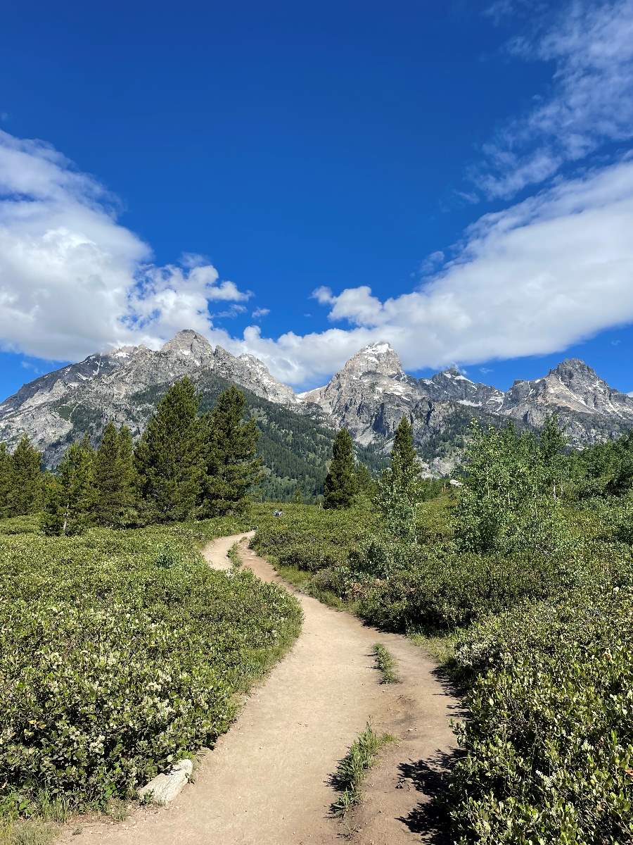 Trail in Grand Teton National Park