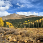 3 Fall Hikes Near Denver with Kids