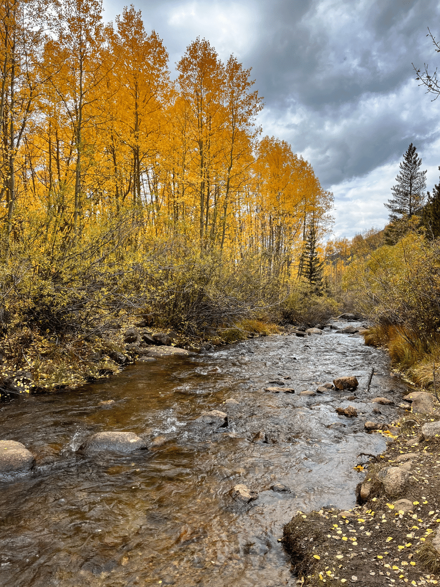 creek with aspens on Abyss Trail