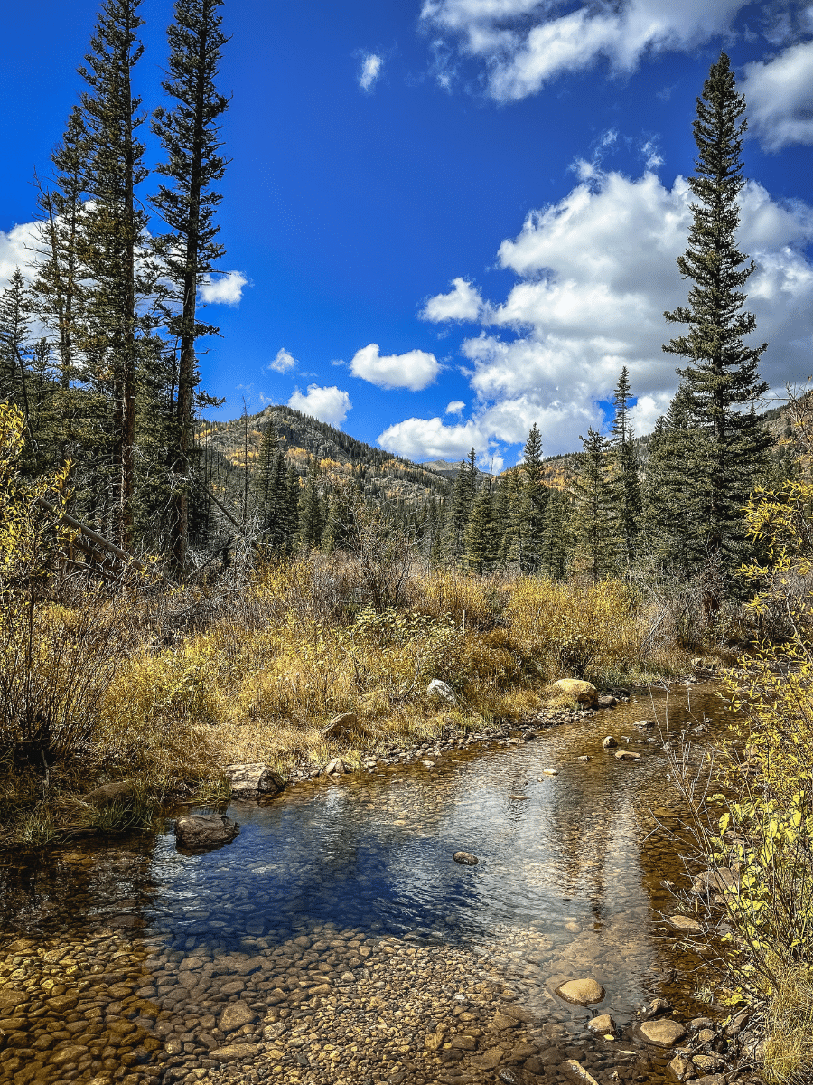 view from start of Lost Lake trail, one of the best fall hikes near Denver