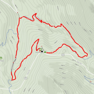 map of Raccoon Trail