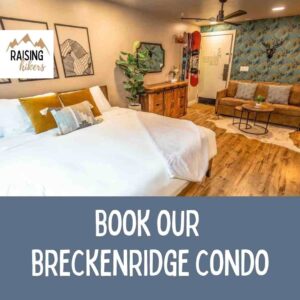 Book our Breckenridge Condo