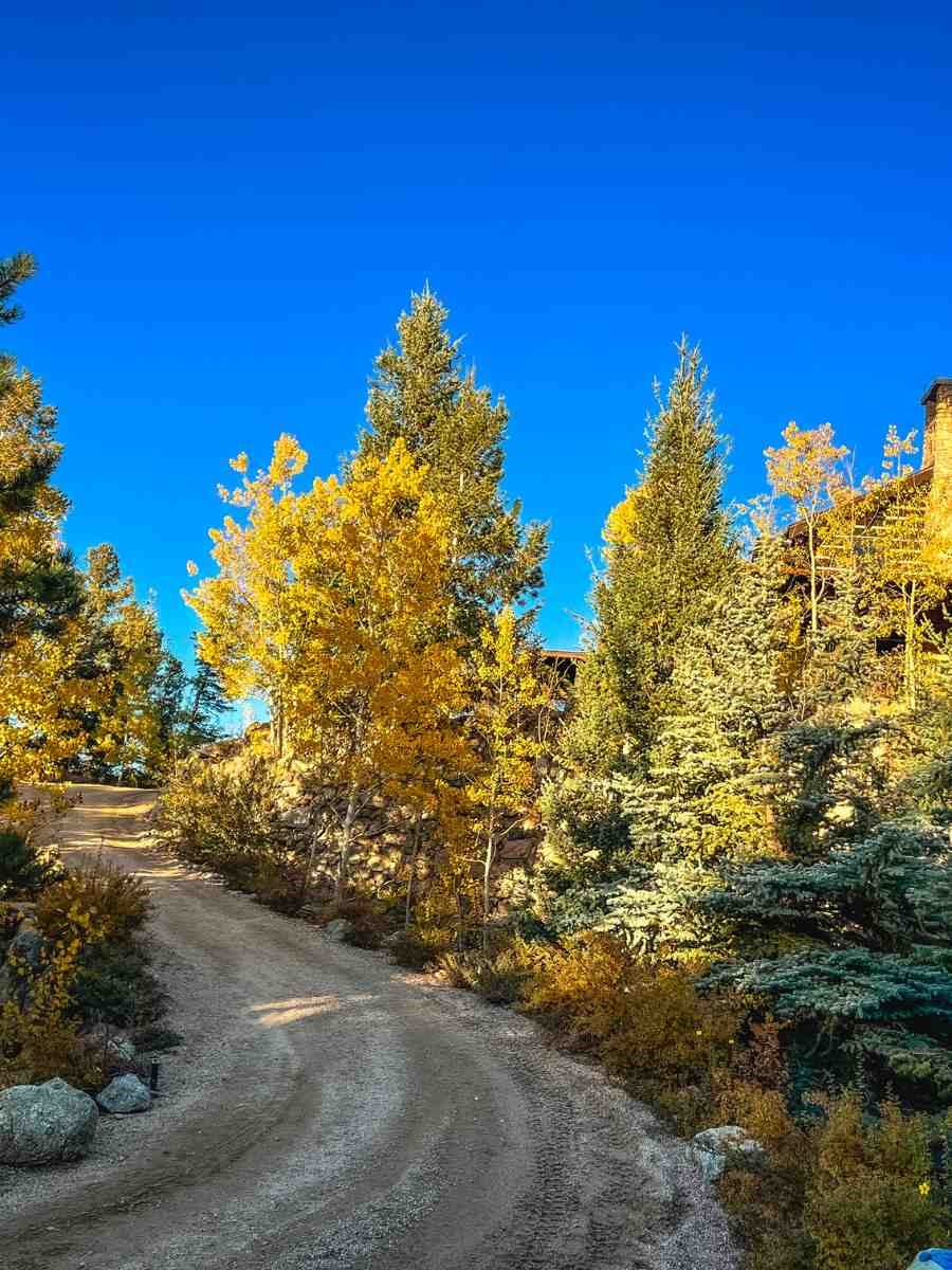 Dirt Road Leading to Cloud Camp 