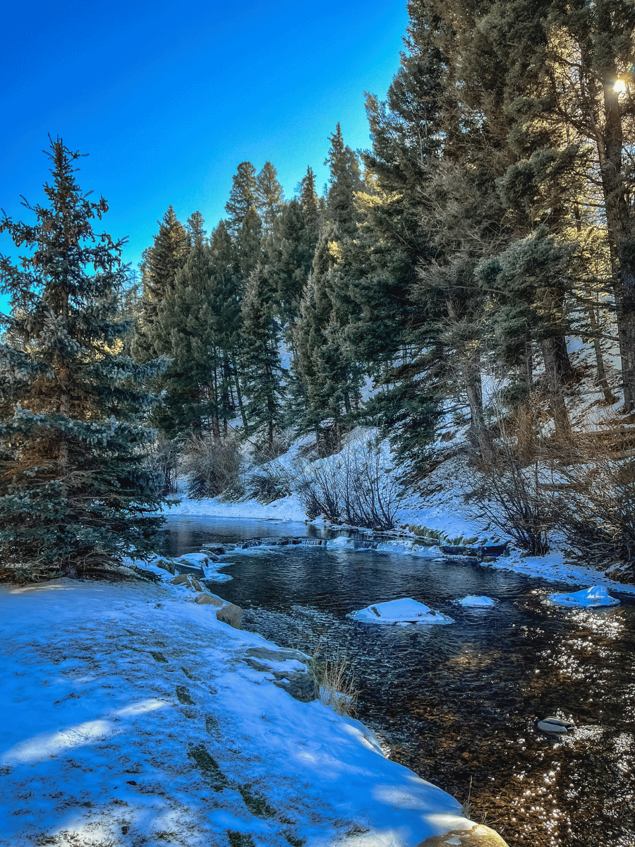 River in the winter