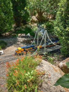 Train in botanic gardens