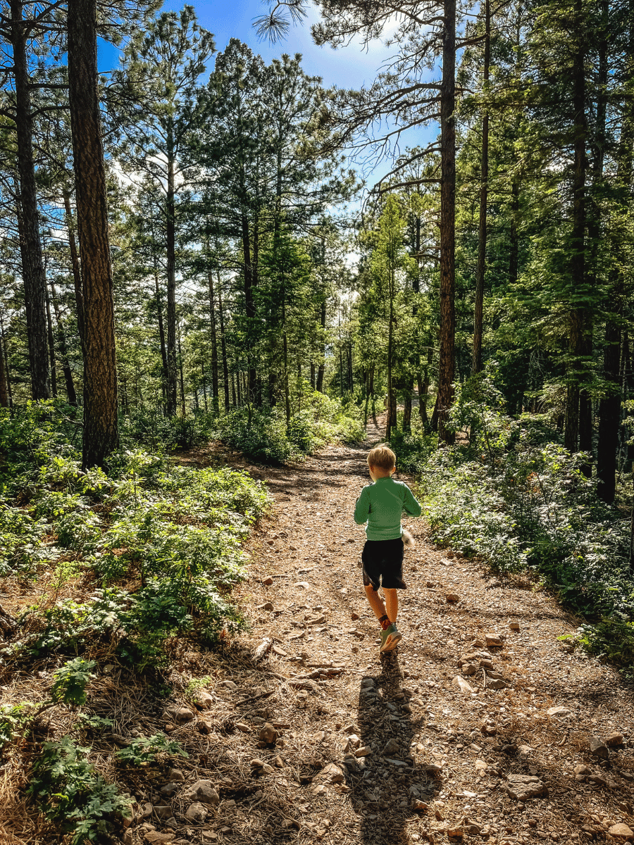 Hiking in forest