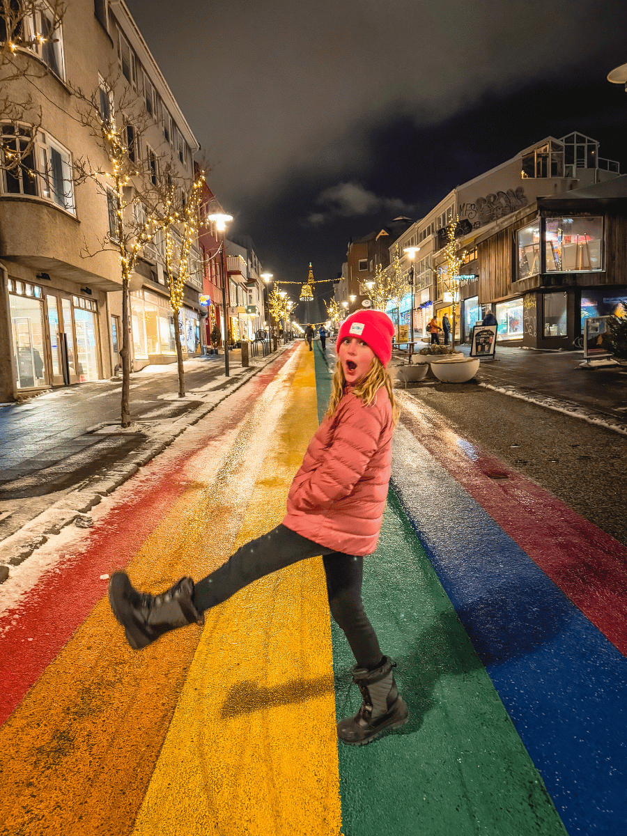 Northern Lights in Iceland Winter